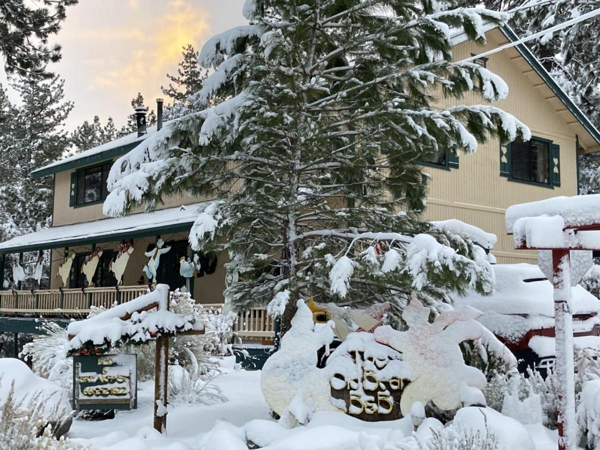 The Old Bear Bnb Pine Mountain Club Εξωτερικό φωτογραφία